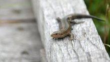 DSC01688.JPG