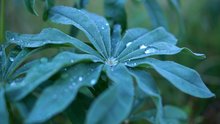 DSC01746.JPG