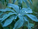 DSC01746.JPG