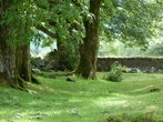 Schottland