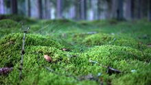 DSC01735.JPG