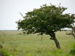DSC01670.JPG