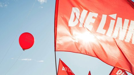 Fahne DIE LINKE