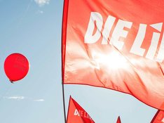 Fahne DIE LINKE