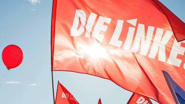 Fahne DIE LINKE