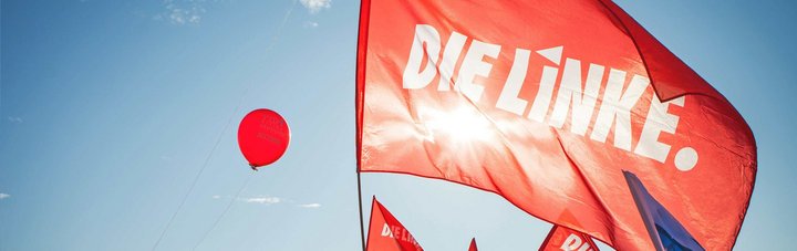 Fahne DIE LINKE